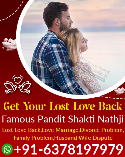 Pandit Shakti Nathji Ji +91-6378197979