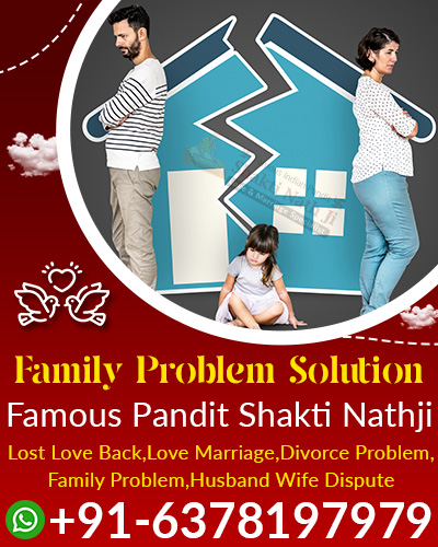 Pandit Shakti Nathji Ji +91-6378197979