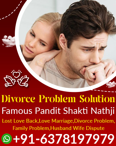 Pandit Shakti Nathji Ji +91-6378197979